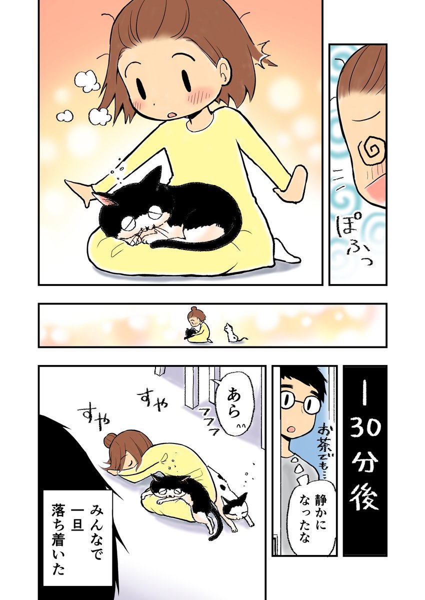 猫から見た発達障害
(1話/3p)

#僕の妻は発達障害 
#猫漫画 
#漫画が読めるハッシュタグ 