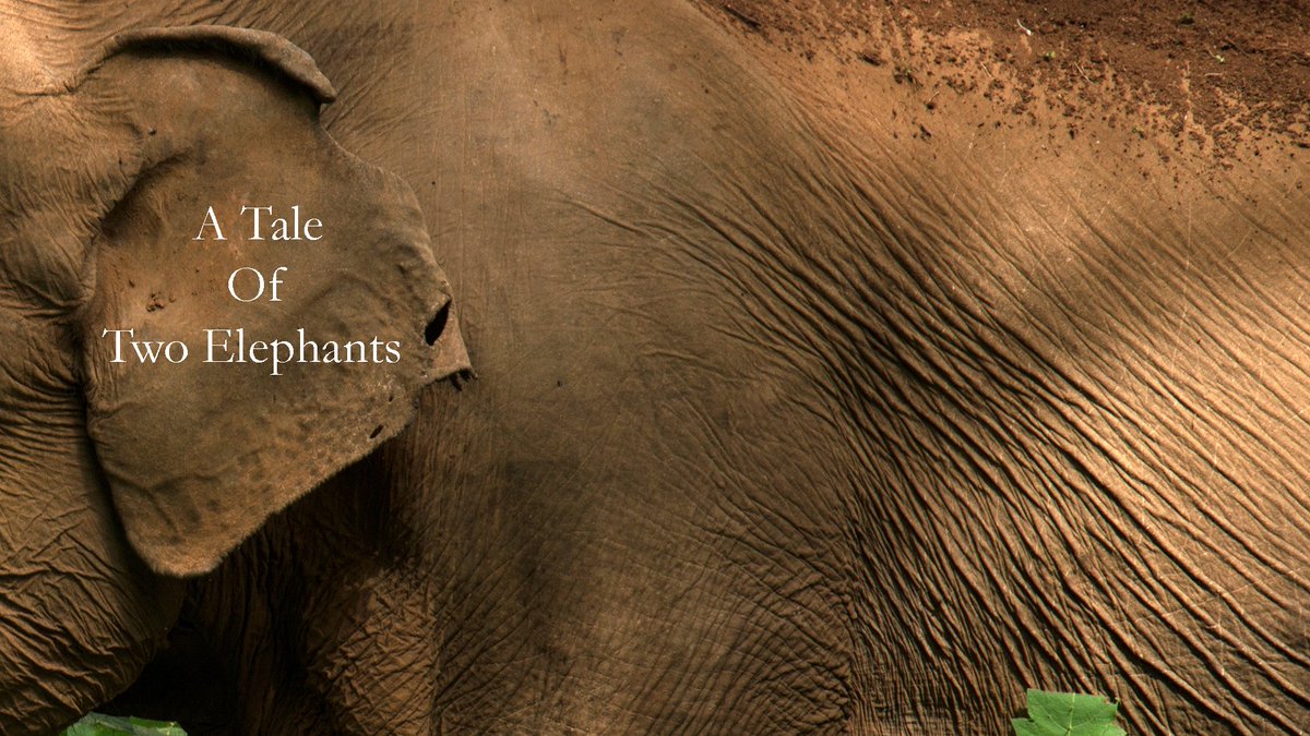 Hi, I am  @ganesh_rag an  #elephant biologist and conservationist working with  @ncfindia. I live and work in  #Valparai. Today, I am going to be telling a story about two Asian  #elephants who lived wild and free. Follow along!