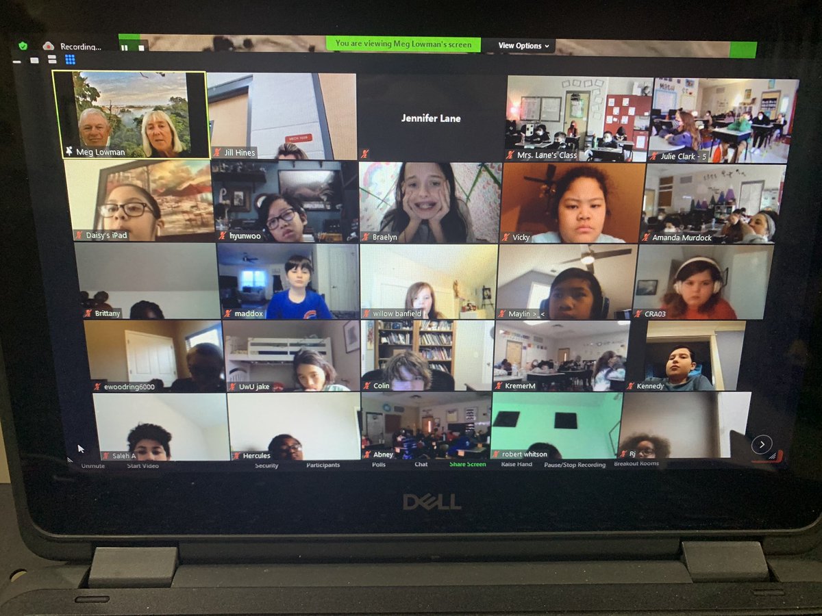 Mrs. Lane tweet media