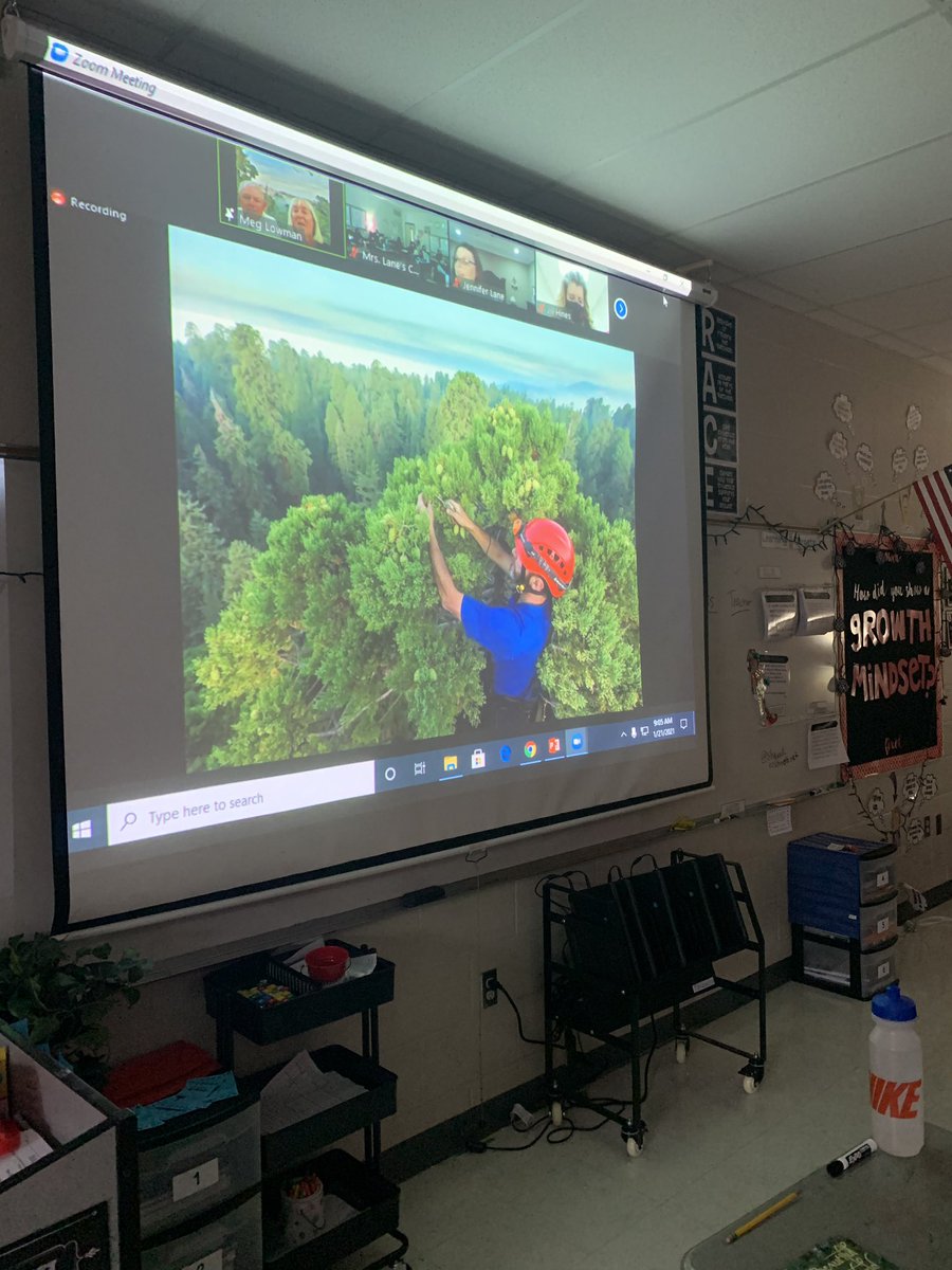 Mrs. Lane tweet media