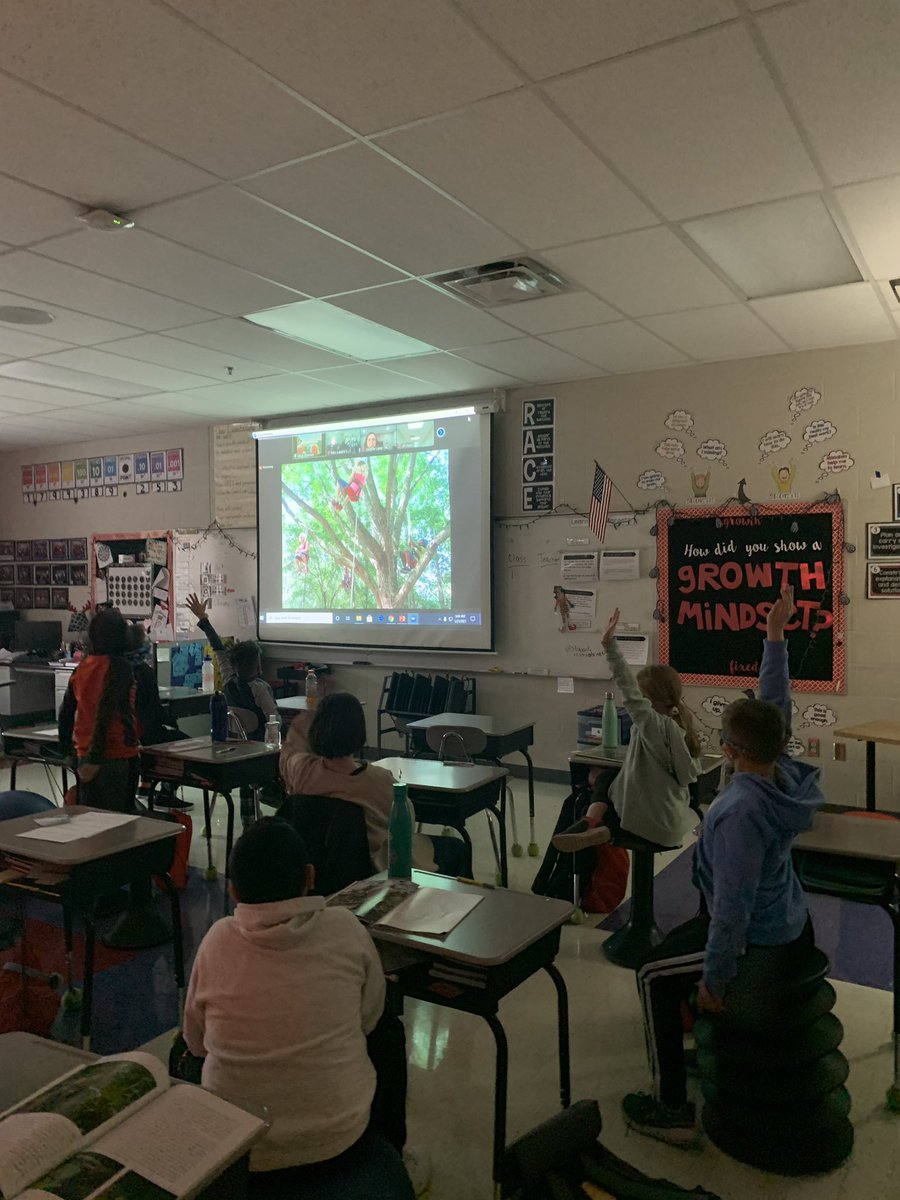 Mrs. Lane tweet media