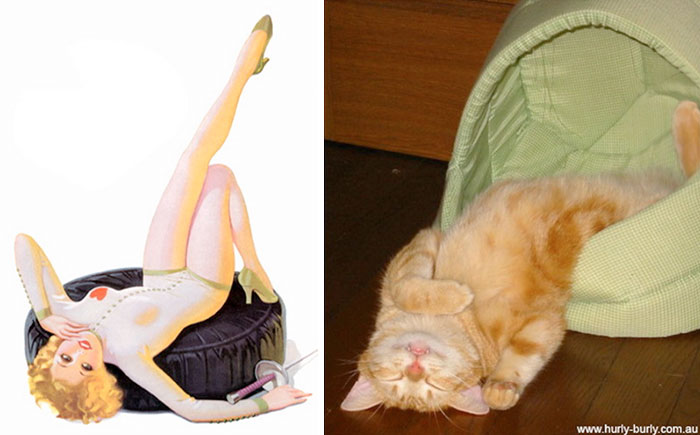 I actually am pretty okay with the world today. We're one more step closer to sanity.So here's cats as pin-up models.