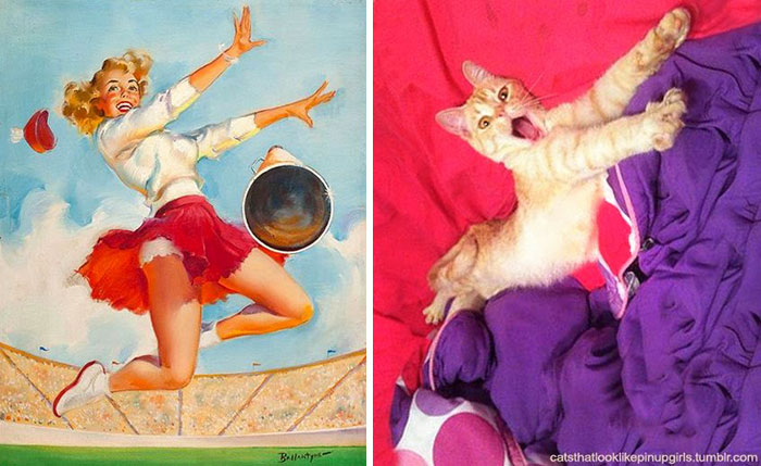 I actually am pretty okay with the world today. We're one more step closer to sanity.So here's cats as pin-up models.