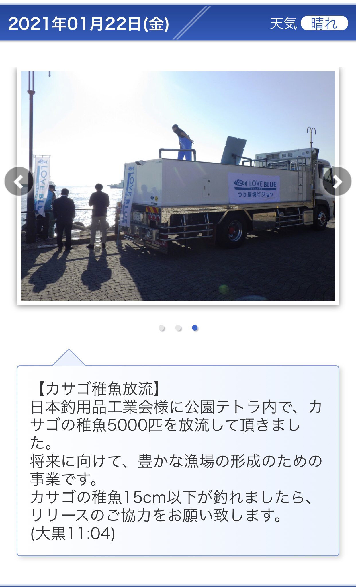 Anglersstaff 稚魚放流のおかげで昨晩のようなカサゴ釣りが楽しめています 小型は通年リリース 12 2月の子持ち時期はオールリリースをすることでいつまでも楽しいカサゴ釣りが続けられますね