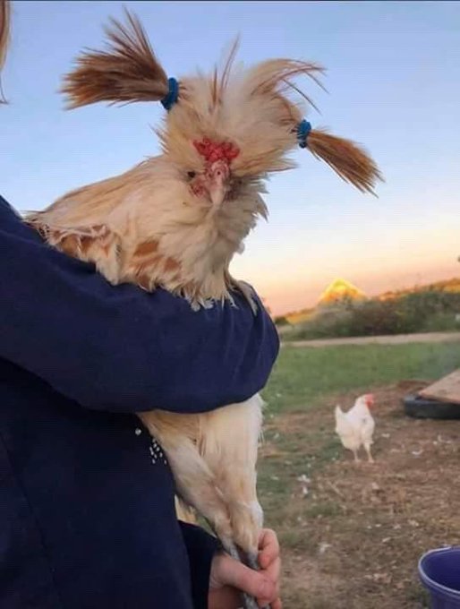 Encuentra las diferencias https://t.co/p3Ykcy2SNl