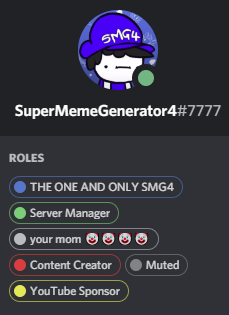 So about the time I rickrolled someone on SMG4's Discord server..