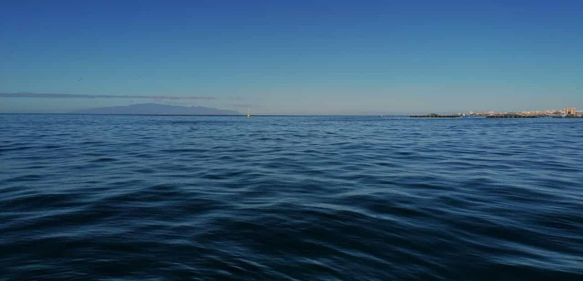 Sabemos que muchos no podéis viajar y os esperamos con muchas ganas. #Tenerife está preparada para cuando todo esto acabe. #buceo