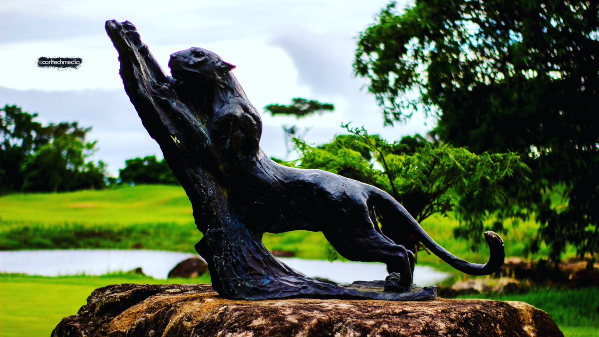 ThisIsMutare's tweet photo. “There is nowhere more beautiful in Africa”
#thisismutare #nature #landscapephotography #sky #mountains #leopardrockhotel #golfcourses #naturephotography#mutare #zimbabwe https://t.co/j3OeDKXl7Q
