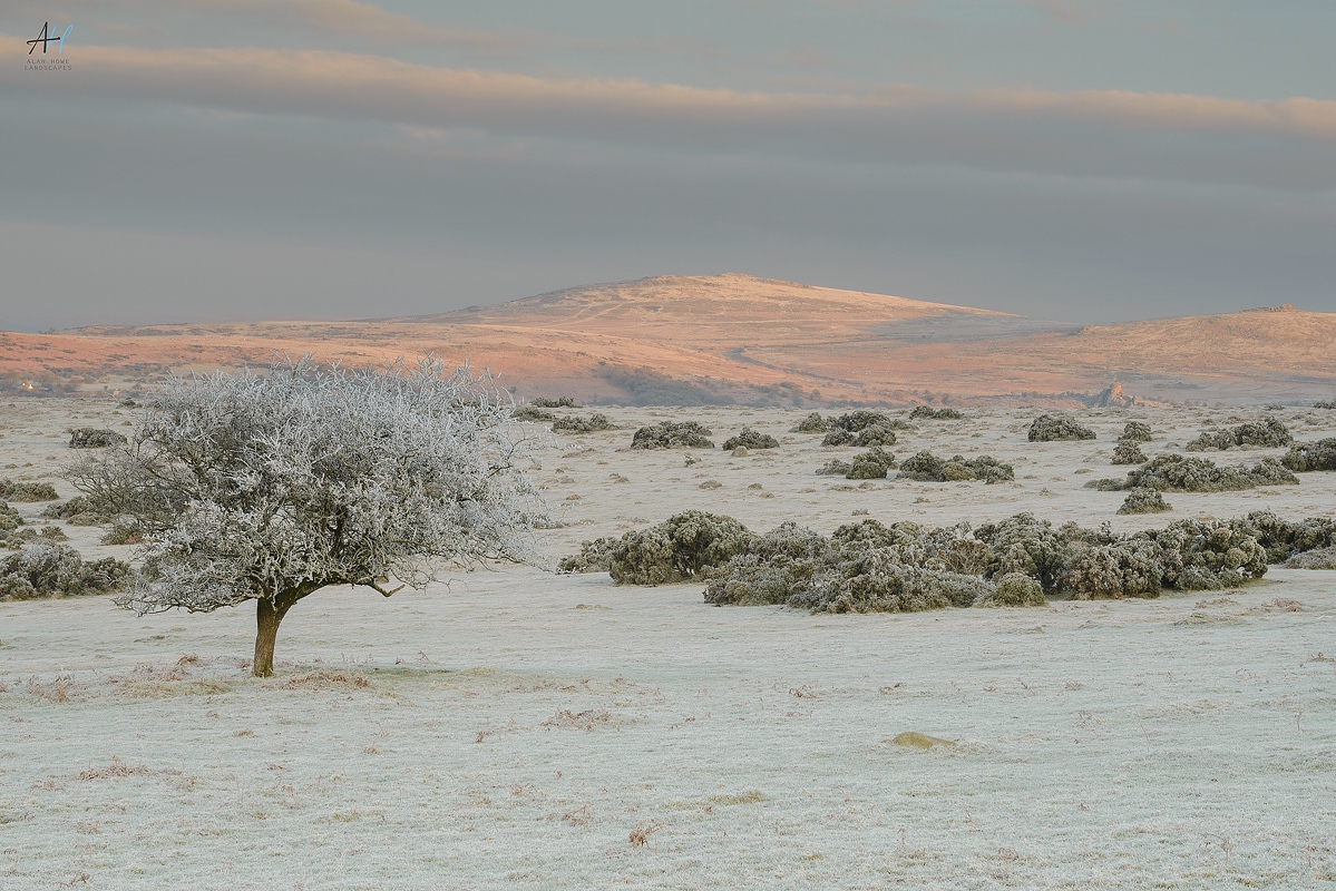 AlanHowe3's tweet image. Up in time to see the day start is always rewarding. When the conditions are like this it makes it a little more special. Who needs bright, colourful skies? 
#KaseFiltersUKProPartner #CaptureWithConfidence #BenroLetsGo #BenroUK