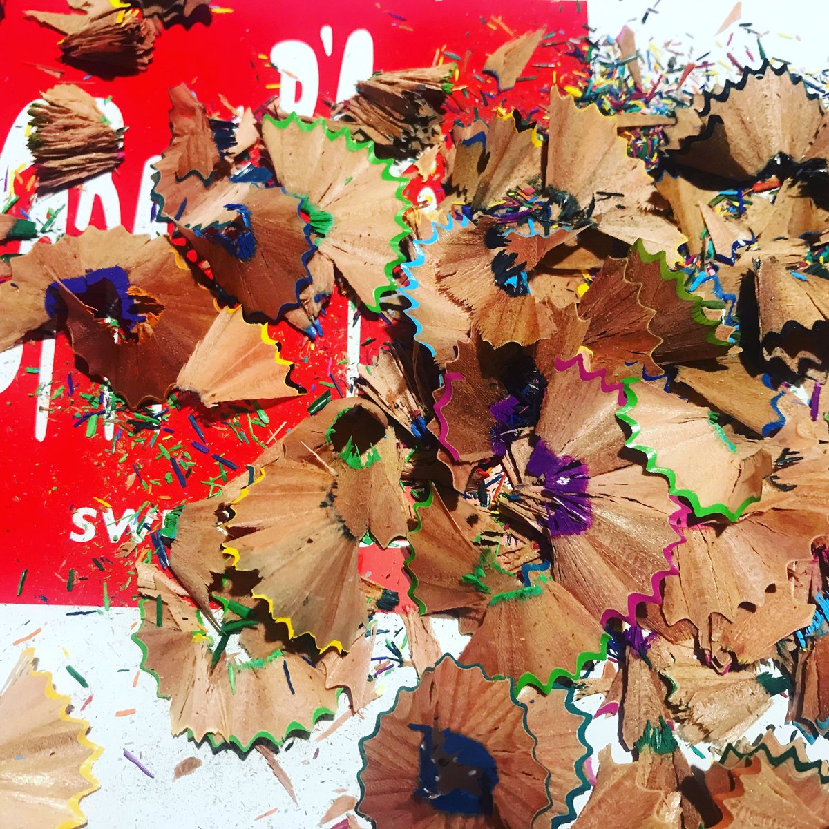 Helen McCook tweet media