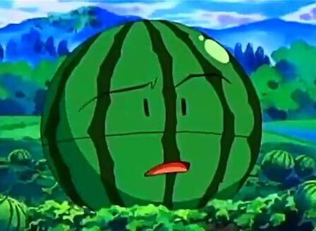 アルコバレーノ Anipoke Pokemon ビリリダマ他にもスイカになりすまして警備しているマルマインがいる