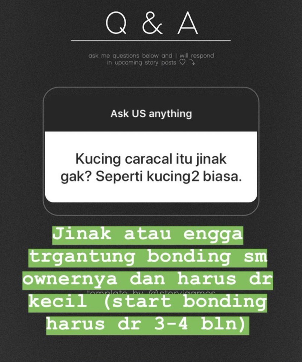 Terus ntar kalo udh bosen mau diapain? Dibuang ke jalanan? apa mau di kasih ke kebun binatang? Regardless both options is terrible for the cat and the environment. Domestication is not easy and takes generations of breeding and gene manipulation to even alter a cat’s behavior