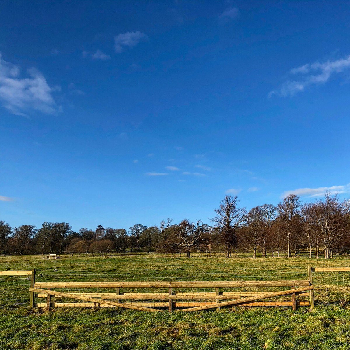 lurcherwork's tweet photo. #newbuild #huntjump #timber #jump #equestrian #horsesports #foxhunting #hunting #hunter #draghunting #trailhunting #crosscountry #huntertrial #countryman #jumpbuilding #jumpbuilder #countrylife #fencefriday #tigertrap #sleeperwall #railwaysleepers #reclamation https://t.co/u2YyVML4mY