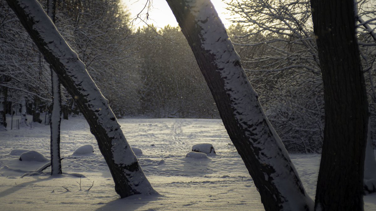 End of a snowy day's walk