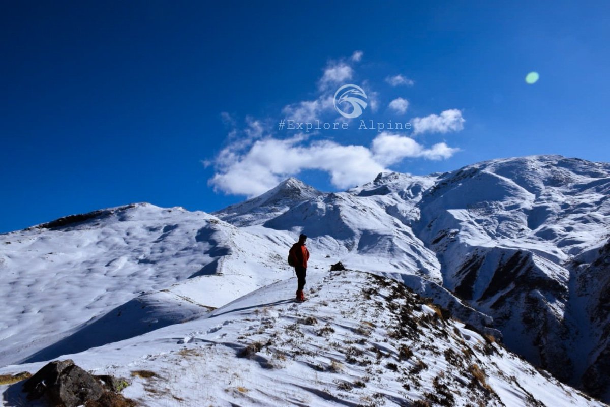 Alpine1Explore's tweet photo. Pangarchulla Peak Trek
A Challenging Summit Climb High on Adventure.
More information please check.https://t.co/z5Jm2lC6Bq
#BookingNow
Contact. 8445001234
#trek #trekking #nature #mountainview #explorealpine 
#hikingadventures #outdoor #Uttarakhand #Camping #photo #PhotoOfTheDay https://t.co/yGLQZos4bs