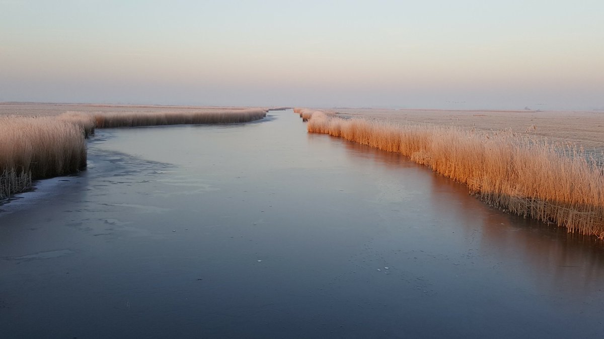 Jakob_Blaauw's tweet photo. Alweer 4 jaar terug. #winter2017 https://t.co/C8K7JuNMRF