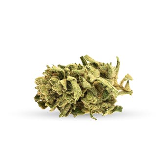 goodcookiestore's tweet photo. Get stuck with Monkey Glue. These chunky, resin-covered buds deliver pungent, earthy and sour aromas. There's no monkeying around when it comes to this potent, sativa-dominant strain you'll definitely develop a bond. Buy at https://t.co/GYMfKWCsl4!
#cannabis #sativadominant https://t.co/8Lfw4hLBE9