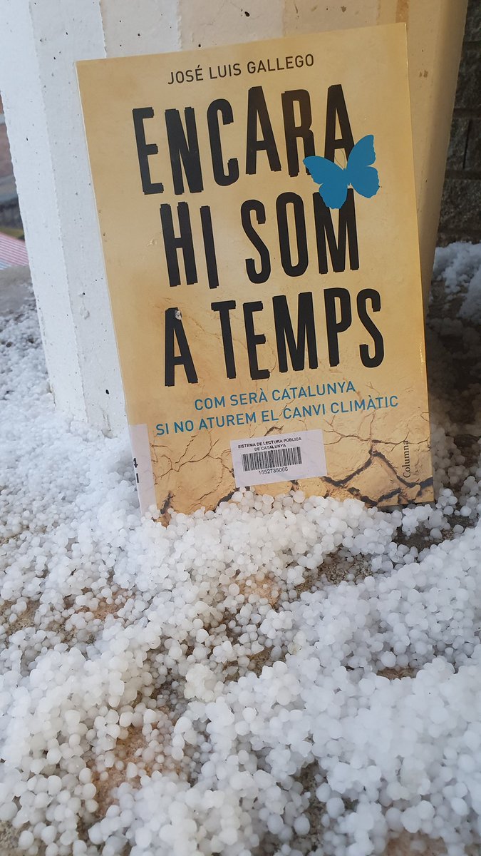 BibliotecaMollerussa tweet media