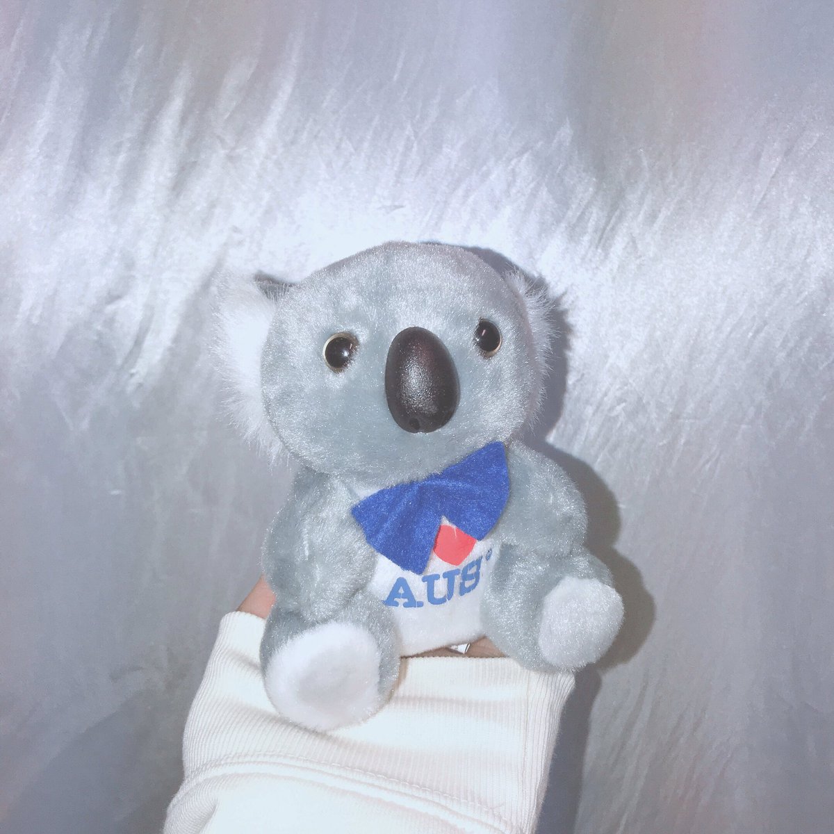 雀蜂 すずめばち 大阪アメ村の三角公園前トライビル4階 ふあふあ可愛いちっちゃコアラぬいぐるみ入荷しました