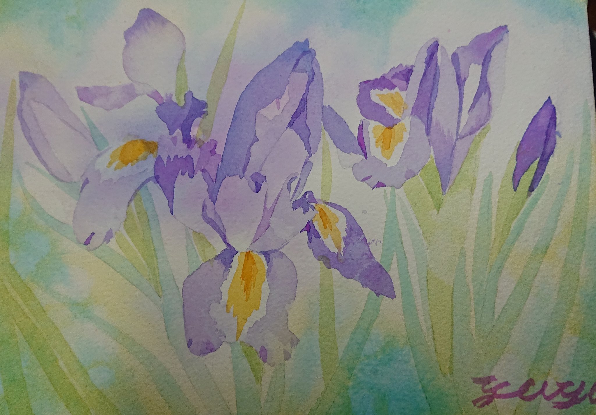 女性に人気 絵画 水彩画 花菖蒲 絵画 タペストリ Mkukinanyota Com