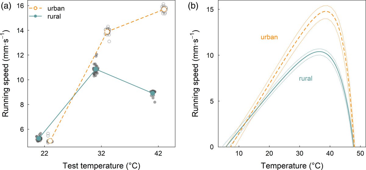 Chick  @lacydchick et al.  https://doi.org/10.1111/eva.13083 addresses another understudied aspect of the physiological effects linked to urban heat islands: the acceleration of metabolic rates in acorn ants 5/14