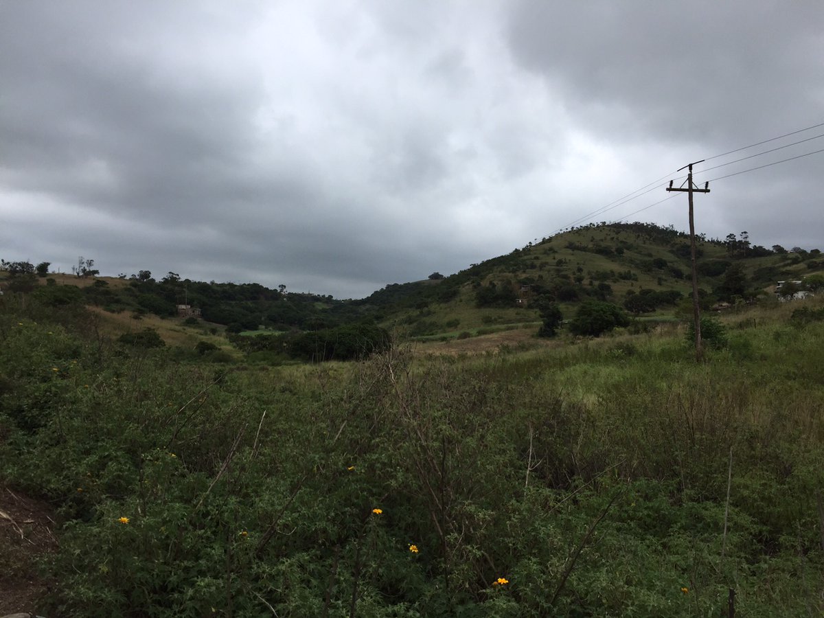 This is Wombane hill viewed from the modern road to Eshowe. The Zulu Impi that emerged from behind the hill numbered in the region of 6,000 warriors. Heavy British rifle and artillery fire checked their advance.