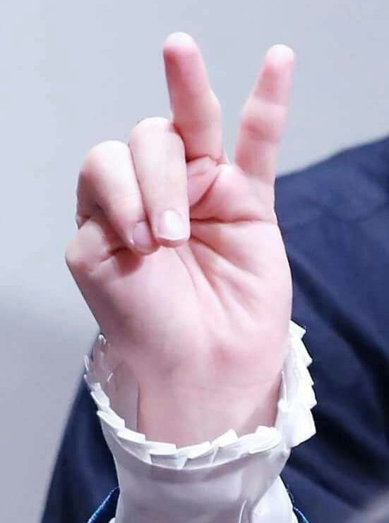 Jimin's hands are so cute 