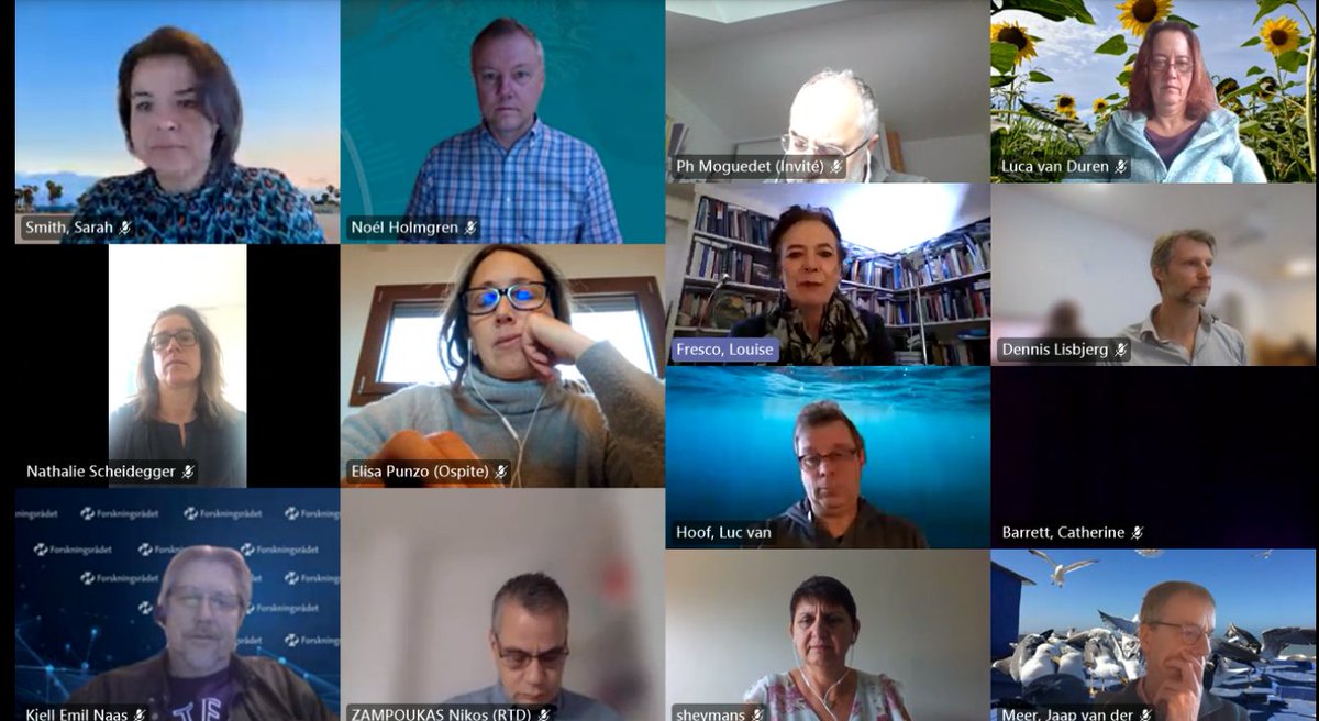 sheilaheymans's tweet photo. This morning I am participating in the #EFARO webinar on on sustainable and circular food production at sea. @EMarineBoard https://t.co/NsT45PlFLL