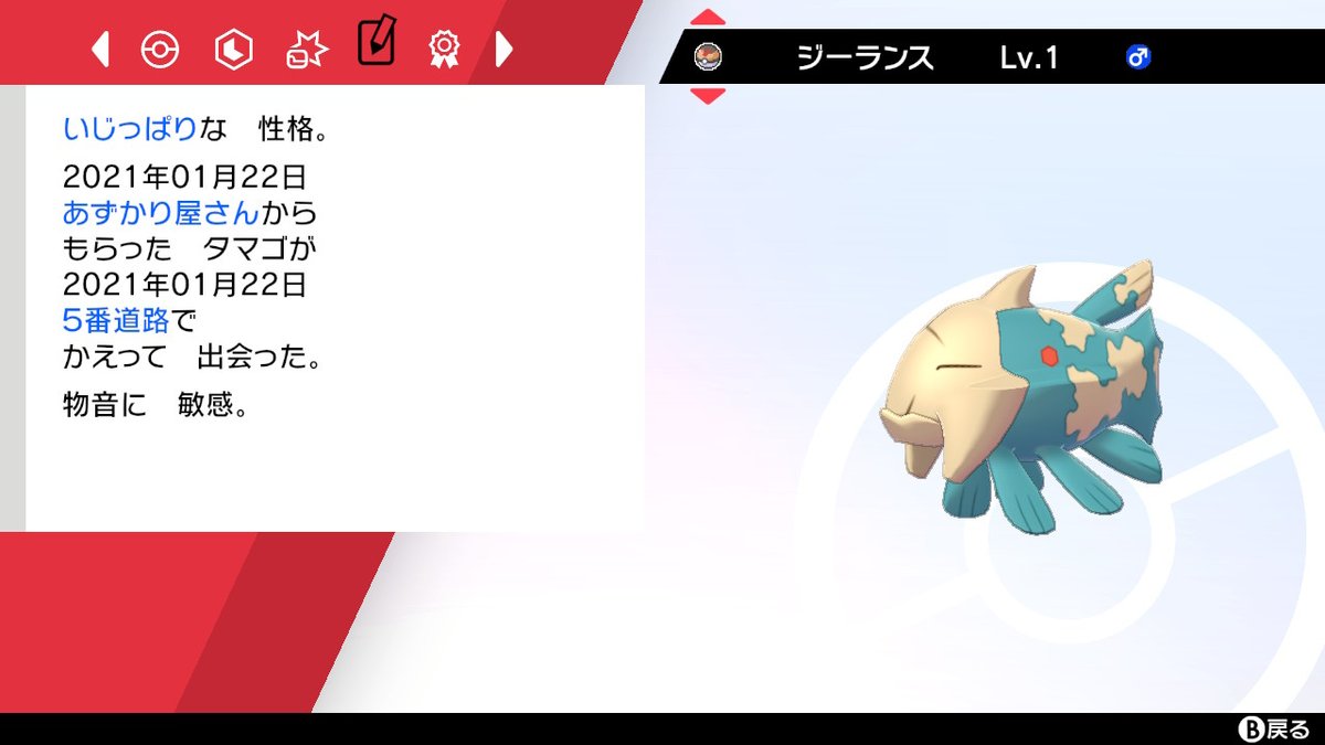 Tomo Tnあかばね 色違いジーランスおめでとうございます Tomo Tnあかばね 色違いジーランスおめでとうございます