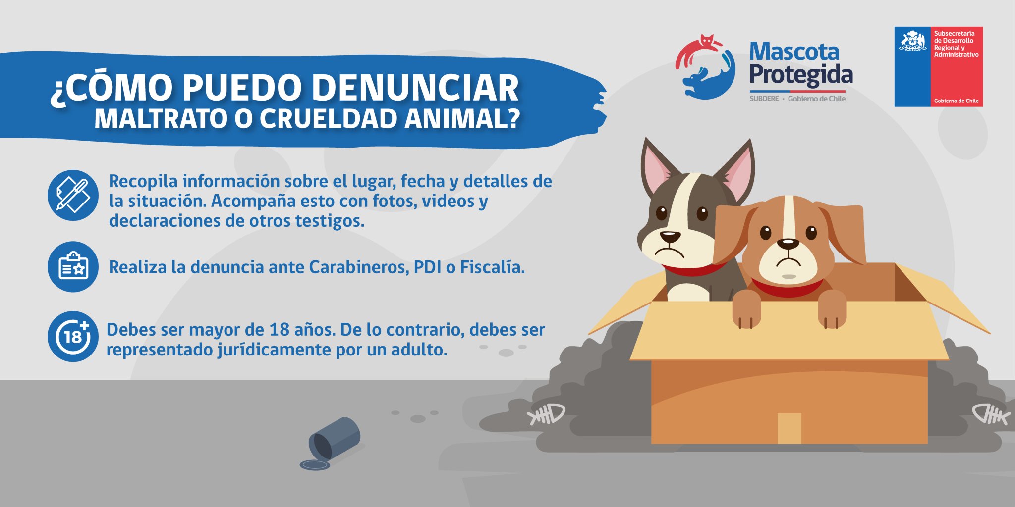 توییتر \ Tenencia Responsable در توییتر: «🛑El maltrato animal -ya sea por acción u omisión- es un delito que debe ser denunciado y sancionado. Aquí te contamos qué hacer en caso de توییتر \ Tenencia Responsable در توییتر: «🛑El maltrato animal -ya sea por acción u omisión- es un delito que debe ser denunciado y sancionado. Aquí te contamos qué hacer en caso de
