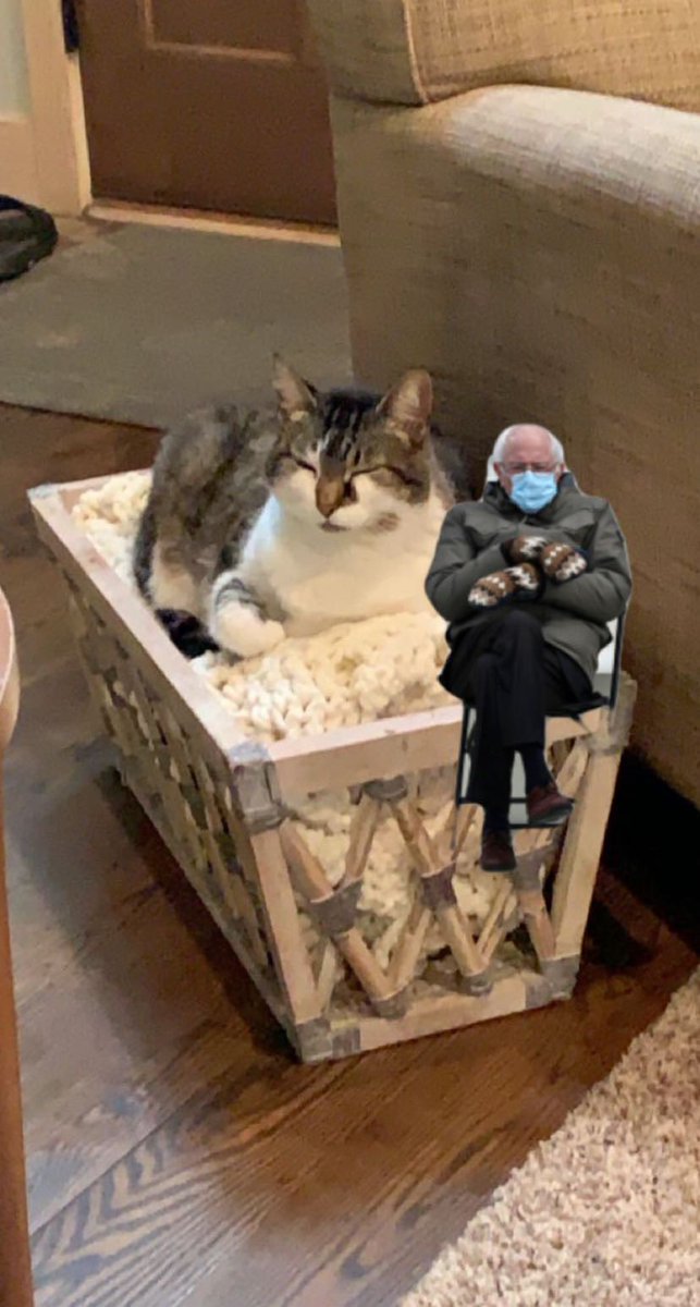 jxnnaam's tweet photo. Enjoy these pictures my mother photoshopped of me and my cat with @BernieSanders https://t.co/ByhfdzZJaA