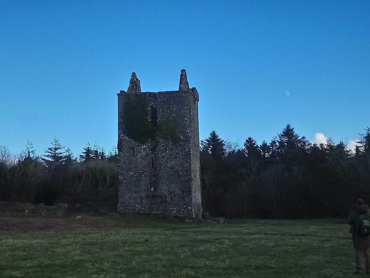 FriendsMerlinWD's tweet photo. #Merlincastle #Merlinwoods #Galway https://t.co/pbrHsgCjT0
