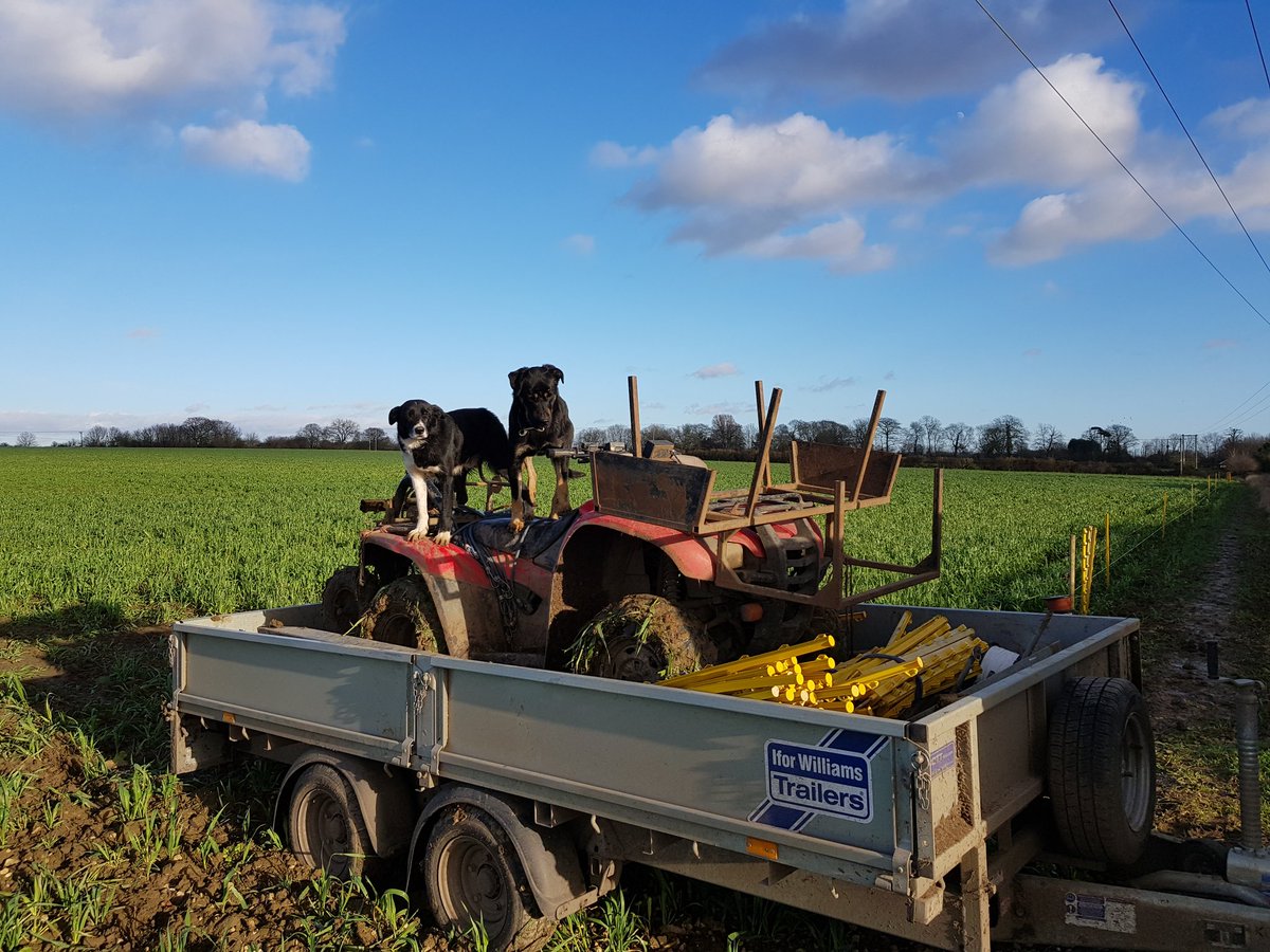 When I said we needed to find some higher ground lads this isn't quite what I was thinking.