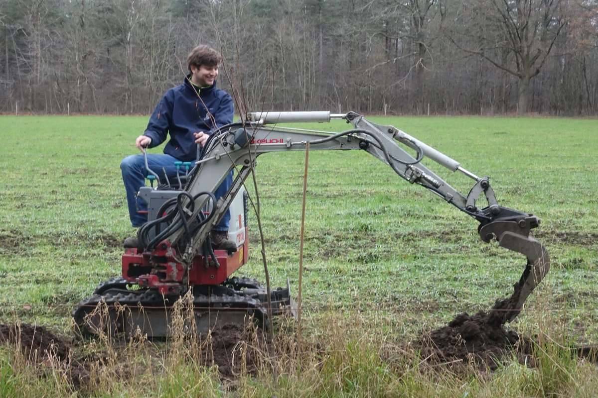 Aanleg speciale bijenhoutwal op #agroforestry perceel Kwaalburgse Hoeve te Alphen; goed voor bijen, biodiversiteit en bestuiving andere agroforestry teelten ( noten, bessen, kastanjes in combinatie met granen)