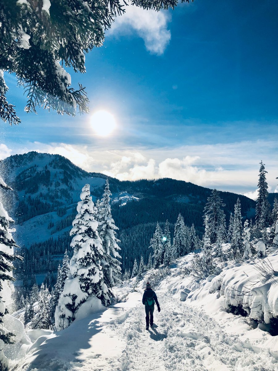 ❄ Sometimes, you just need to change your aLtitude. ❄