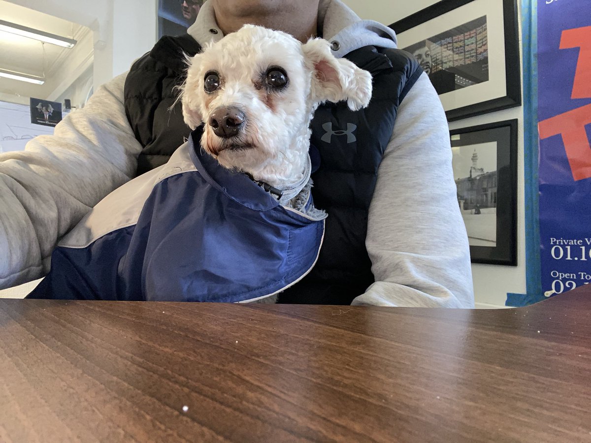 danieldaviesRPL's tweet image. Me n Captain Kangaroo 🦘 our #RockpointLeisure Archie