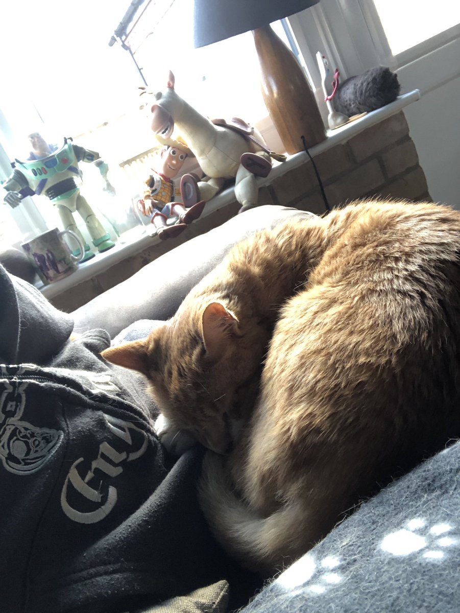 FocusMeg's tweet image. 