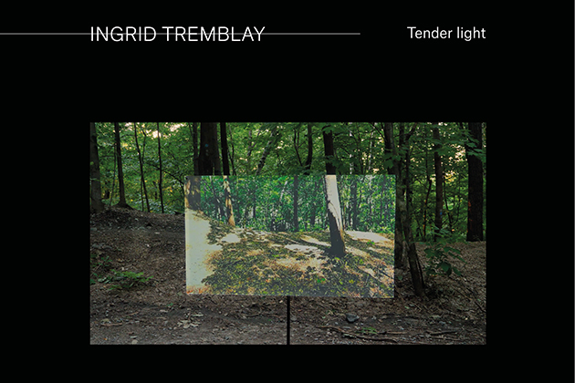 Esse 101 | Un compte rendu de Dominique Sirois-Rouleau sur l’expo virtuelle « Cadrer la nature », présentée par @ExpoUdeM.  
esse.ca/fr/cadrer-la-n…

📷 : Ingrid Tremblay, Tender Light, capture d’écran, 2020. Photo : permission du Centre d’exposition de l’Université de Montréal