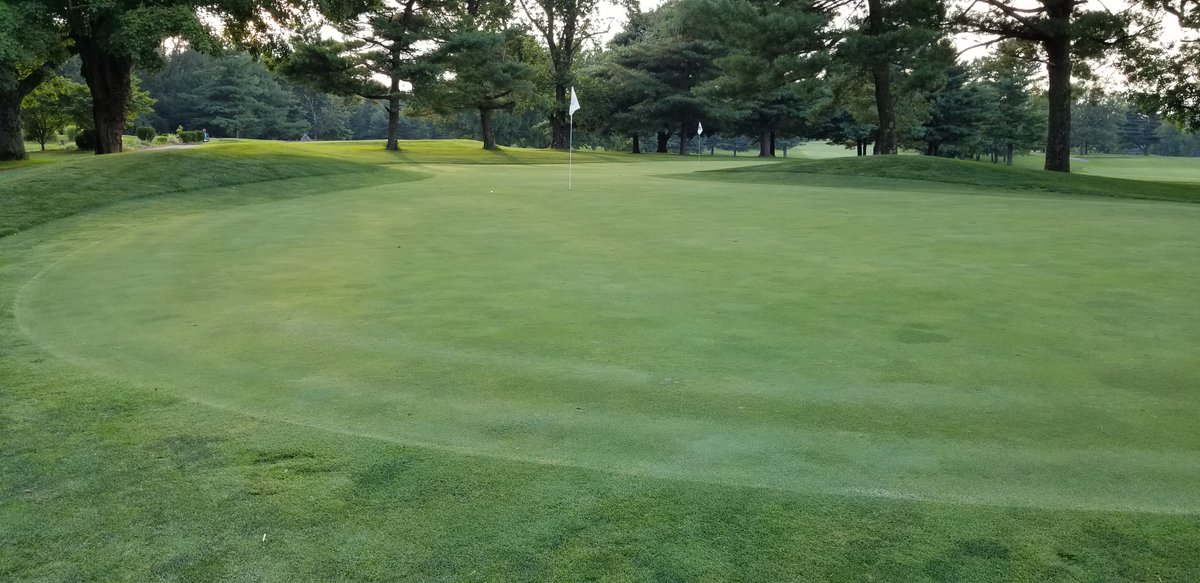 Gay Brewer Jr. Course at Picadome, a gem that is creeping up on is centennial, is where I found my love for golf. Tight, short, twisting, with tiny greens and interesting features, it's my definition of parkland golf, in a good way.7/