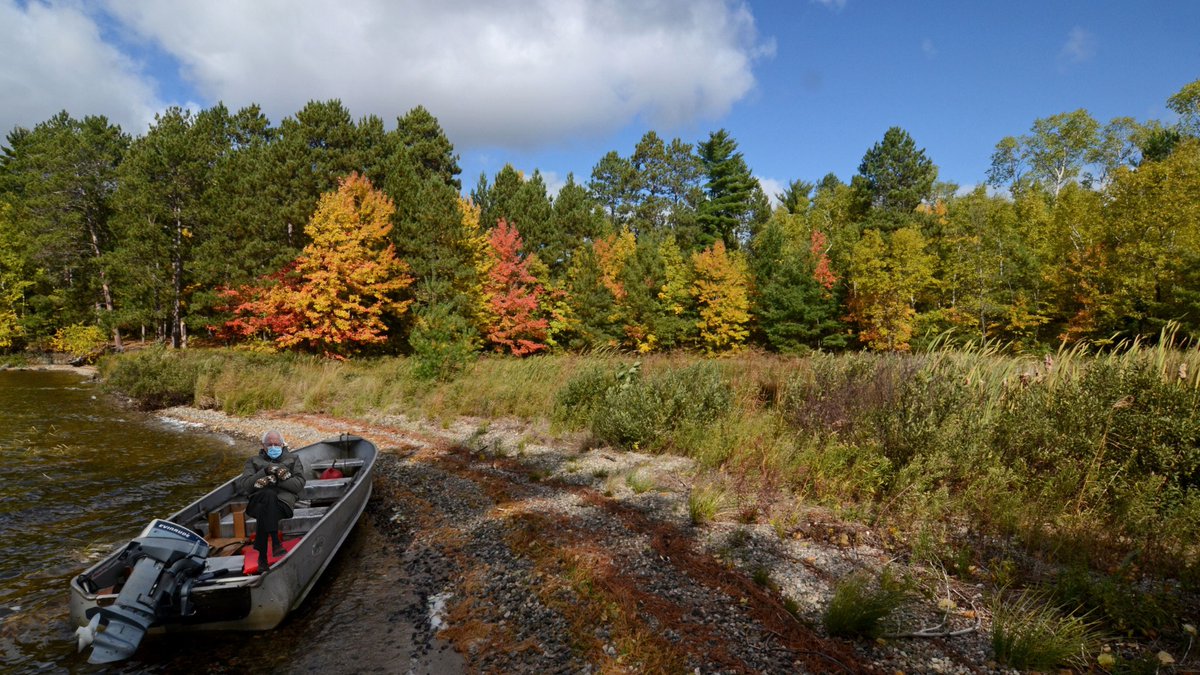 VNPconservancy's tweet photo. Bernie made it to Voyageurs National Park. https://t.co/KMERoXawBk