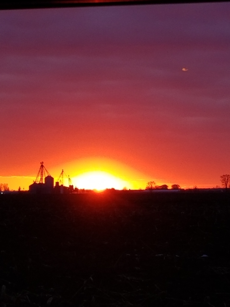 TalbotElevators's tweet photo. The sunset over the elevator last night. A reminder to appreciate the simple things☀️ #TalbotElevators  #FeedGrainSeed #Sunset #FamilyBusiness https://t.co/CL5kixliPu