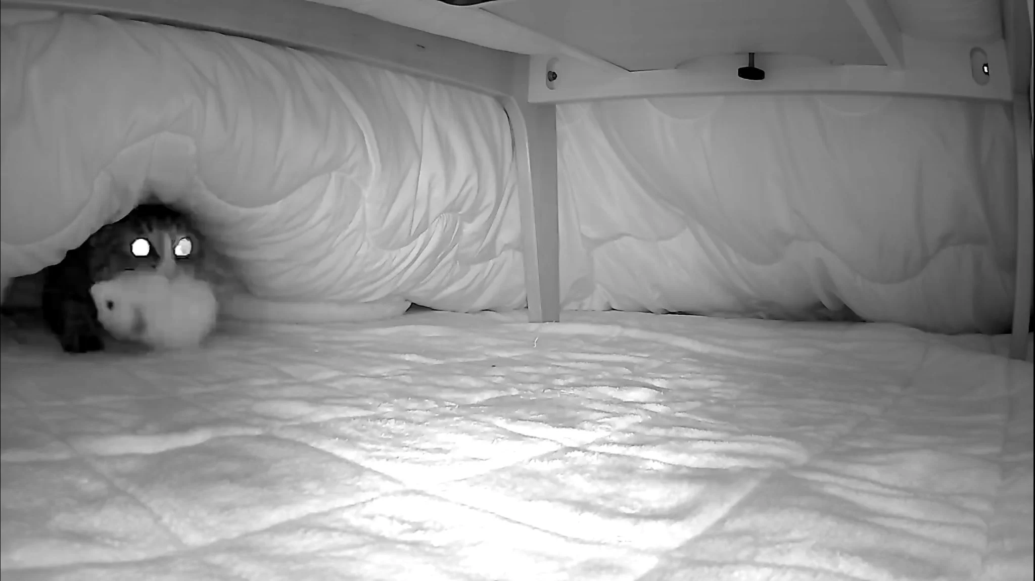 最高に素敵なお母さん！寒くないようにこたつの中にせっせとみぐるみを運ぶ姿は感動