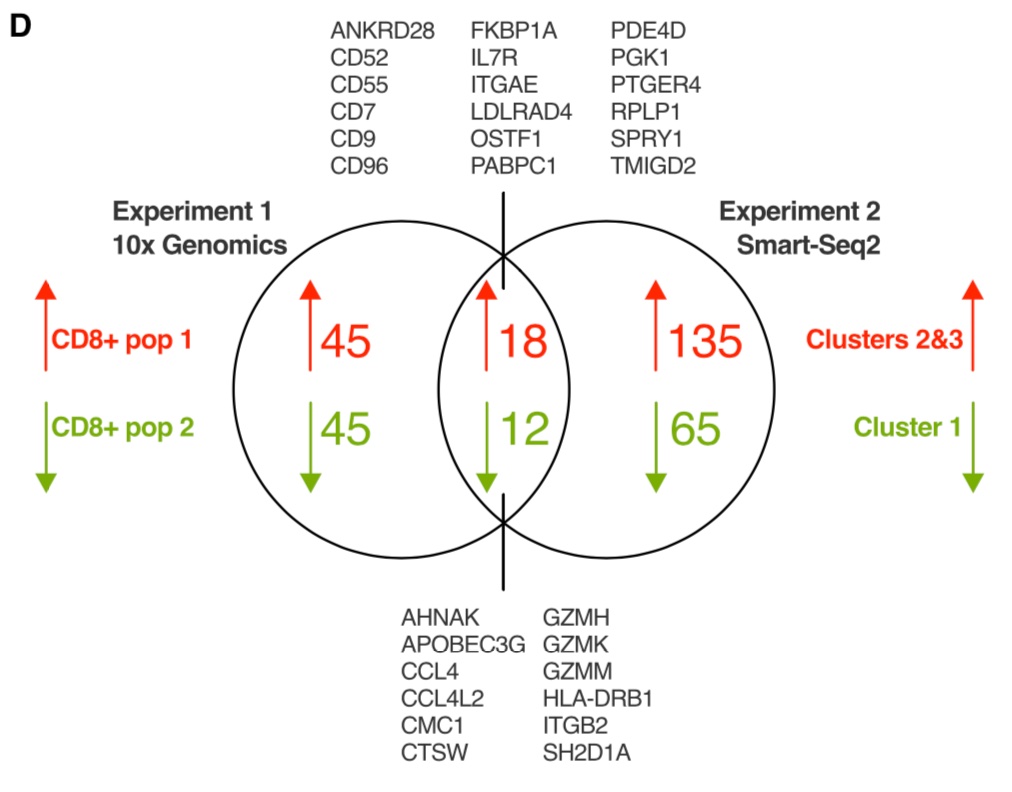 We performed a second single-cell RNAseq experiment using a different experimental protocol, which confirmed a core gene set differentially expressed between these two CD8+ Trm cell subsets.