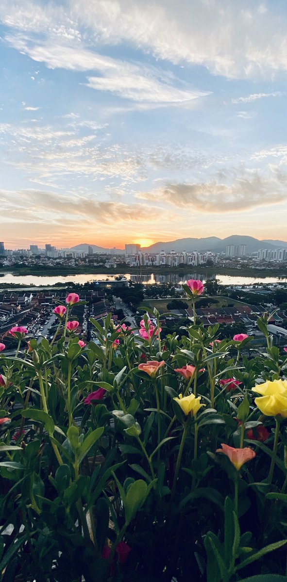 Lorence Khoo tweet media