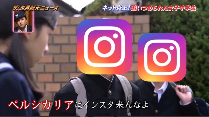 【お知らせ】
ペルシカリア、Instagram開設およそ3分で凍結しました。ただいま凍結の解除の作業を行っております、再度何かありましたらこのアカウントよりご報告させていただきます。