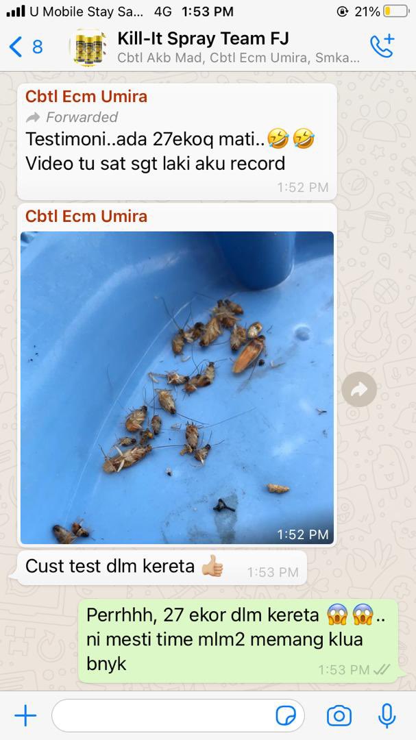 _mhusnx's tweet photo. Anti-Lipas dalam Kereta dan Rumah.

1. Membunuh lipas &amp; serangga yang tersembunyi
2. Tidak perlu pergi cari sarang.
3. Tahan 1-3 bulan

Nak dapatkan secara mudah klik je sini lebih pantas https://t.co/Tfd9xqCiP3

@viralbisneskl @JualBeliKuantan @_twtniaga_ @RTNiaga @KuantanTV https://t.co/bjzFXsIWl1