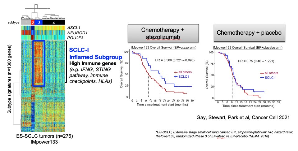 Lauren Averett Byers, MD tweet media