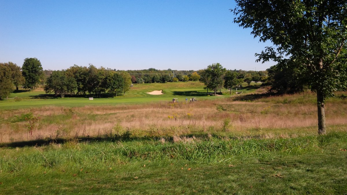Keene Run Course at Keene Trace is a course that I can't decide if I love (or loathe). It's a diverse mix of really interesting holes that I should play better than I do. Several holes invite creative, non-aerial attacks that I never get correct. A wonderful walk, too. 8/