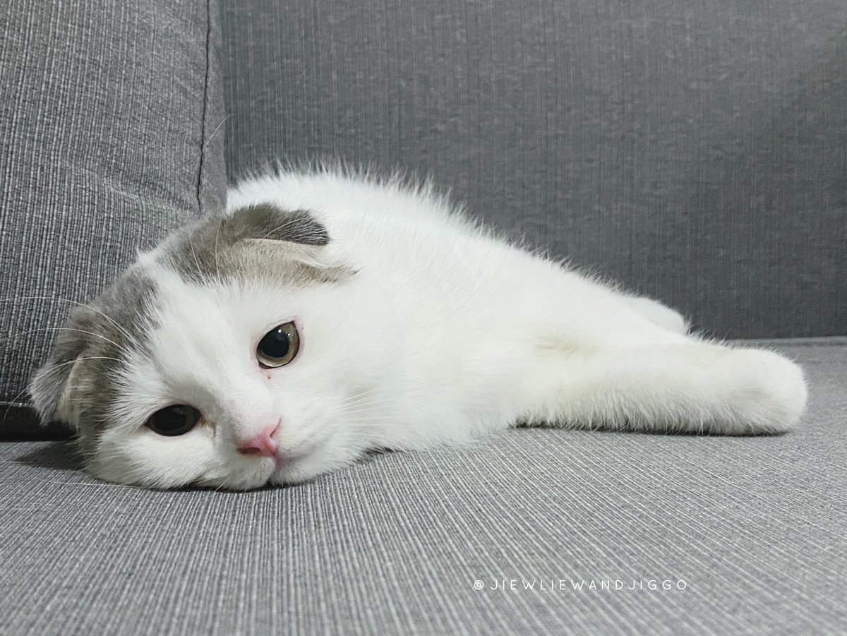 ลูกเราเปนเด็กน่ารักกกกก ลูกเราไม่ดื้ออออออ