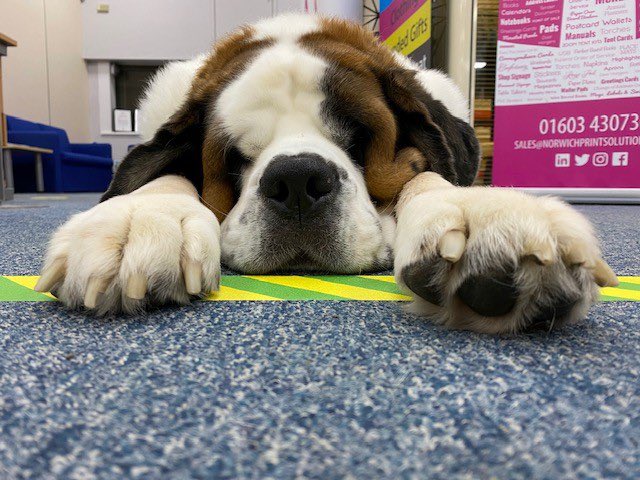 BNI City of Norwich tweet media